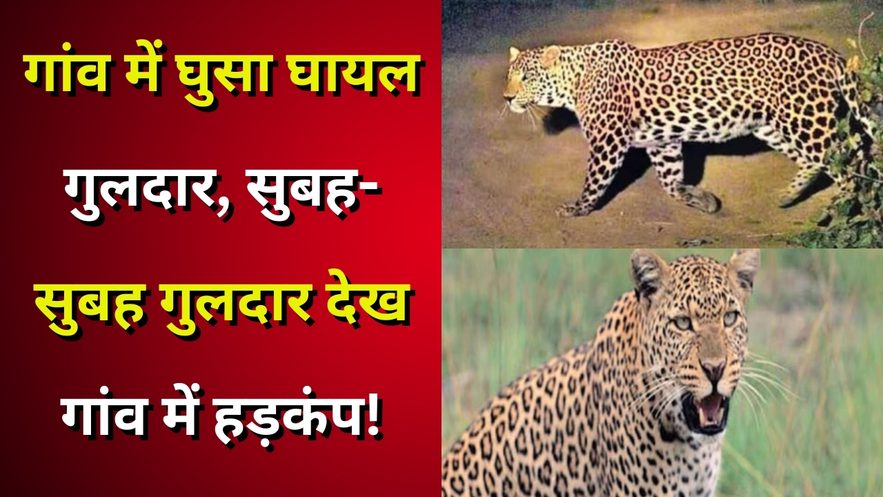 उत्तरकाशी